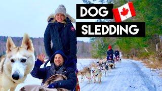 What DOG SLEDDING is REALLY like | Siberian Huskies | Toronto Canada