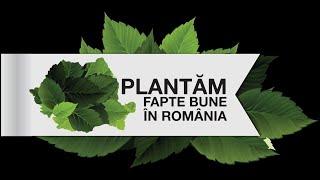 Parte din echipa Plantăm fapte bune în România