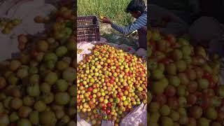 new video