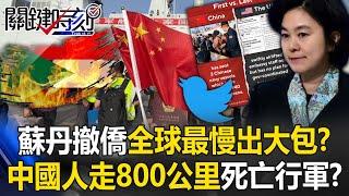 Xi Jinping's evacuation of overseas Chinese from Sudan "the slowest in the world"?