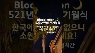 지금 아니면 끝! 한국에서는 절대 볼 수 없는 블러드문 개기월식, 미국에서 촬영! #bloodmoon #eclipse