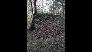Sigma 3 Survival School Review Pt 2 (40 day Instructor Program) GTS Series