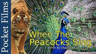 Wildlife Documentary - When The Peacocks Sing: A Prequel to the Monsoons | Pocket Films