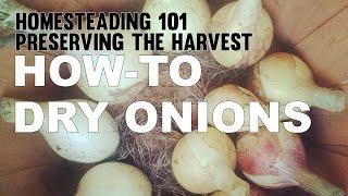 Homesteading 101 Preserving the harvest - Drying Onions