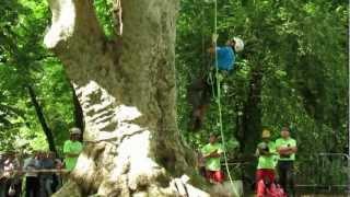 Campionato Italiano TreeClimbing 2012