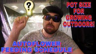 AUTOFLOWER FEEDING SCHEDULE AND POT SIZE FOR GROWING OUTDOORS AND MORE