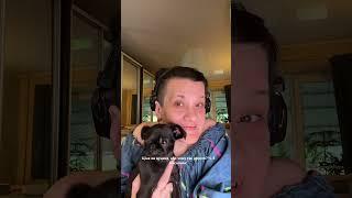 Ціна на цуценя, або чому так дорого Ч. 5 висновок:) #грифон #puppy