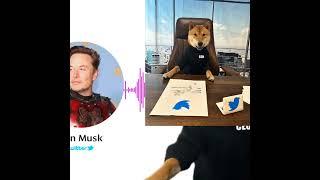 Elon Musk says his Dog Floki is the new C.E.O of Twitter #floki #Thisis256