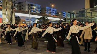 Tibetan  dance 《藏北双湖传统联唱》