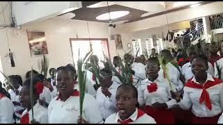 PALM SUNDAY ST. BAKHITA CHURCH MUKURU.
