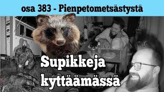 Osa 383 - Supikoiraa kyttäämässä lämpötähtäimillä - 2024/2025