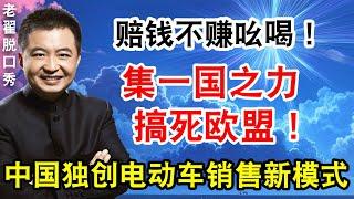 赔钱不赚吆喝！集一国之力，搞死欧盟！中国独创电动车销售新模式！#翟山鹰 #老翟脱口秀