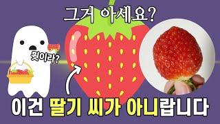 우리가 속고 있었던 딸기의 진실