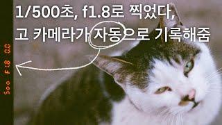 촬영정보 예쁘게 새겨주세요 니콘 필름카메라 F80s