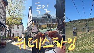 독일여행 뤼데스하임 | 와인마을로 유명한 곳, 프랑크푸르트 근교여행, 와인맛집, 아스파라거스계절 꼭 맛보시라, 와인농장, 자유부인여행