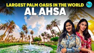 Al Ahasa- Inside World’s Largest Oasis & Greatest Wonder In Saudi Arabia | Curly Tales ME