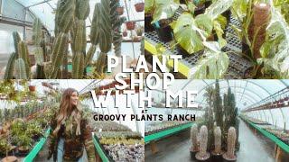 THE COOLEST PLANT SHOP + RARE FINDS!! ($500+!)  COME PLANT SHOPPING WITH ME AT GROOVY PLANTS RANCH