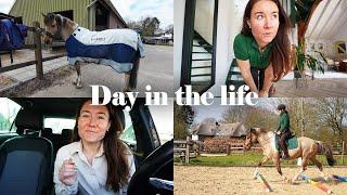Day in the life; voor jezelf werken met 3 paarden aan huis