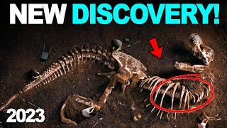 Discovery of Dinosaur Bones | Exclusive Dinosaur Discoveries 2023 | @Fact-Factory