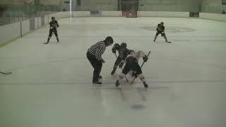 U 12 Select Waterloo Wolves 3 Guelph Gryphons 1