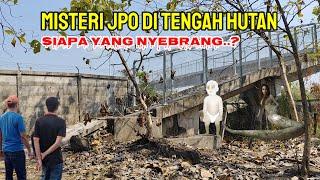 Kejadian Aneh.! JPO Di Tengah Hutan Siapa Yang Nyebrang..?