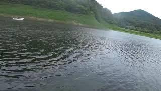 Gundog Training, Brittany: long distant swimming