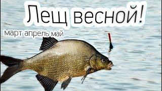 Как ловить леща весной в марте апреле и мае? Толковое обучение ловли леща весной!