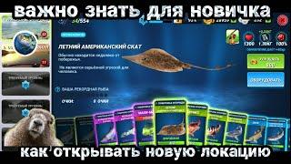 ВАЖНО ЗНАТЬ ! Как открыть НОВУЮ ЛОКАЦИЮ , Лучше всего /Fishing Clash: Реальная рыбалка