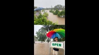 Flood Update from Daleys Fruit Tree Nursery