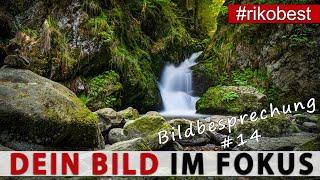 Dein Bild im Fokus #14  Fotografieren lernen durch Bildanalyse & Bildbesprechung - Fotokurs