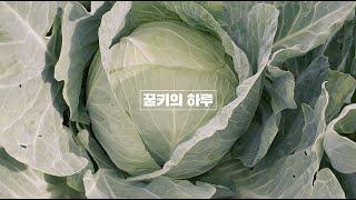 텃밭 구경하고 감자 나눔하던 날