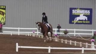 Janelle Johnson & Royal Cootitan - Dressage - Roebke's Run HT 2011