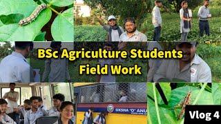 BSc Agri Students Field Work | Life of Agriculture Students | Vlog 4