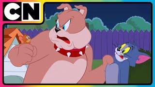 Tom and Jerry  | The Reign Of Thomas Begins! | #catandmouse | #compilation | @cnindia