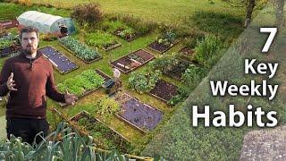 7 Weekly Habits Every Gardener Needs | Improve Productivity and Efficiency