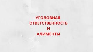 Можно ли привлечь к уголовной ответственности за неуплату алиментов