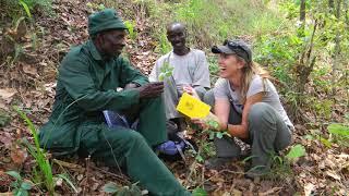 Maria Fadiman, Ph.D., Ethnobotanist