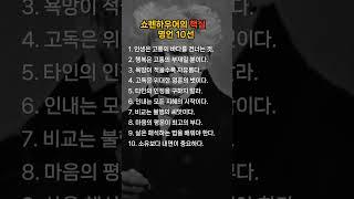 쇼펜하우어의 핵심 명언 10선 : 인생을 통찰하는 지