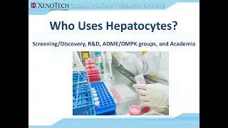 ADME 101 Guide: Which Hepatocyte Test System Should I Use?