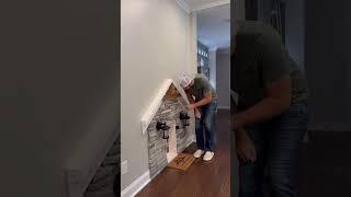 My dog destroyed his TV!