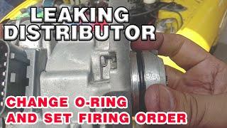 Oil leak on distributor and set firing order