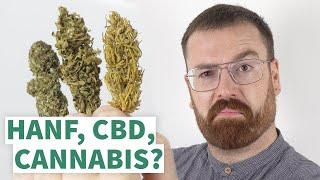 Was ist der UNTERSCHIED zwischen NUTZHANF, CBD-Gras und CANNABIS?