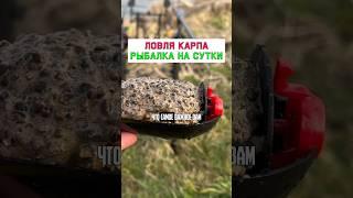 Как поймать много карпа? #карпфишинг