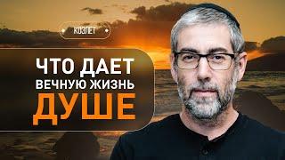 ️ Как найти смысл в трудностях и чем секрет вечной жизни души? Коэлет - Урок 26 | Ицхак Пинтосевич