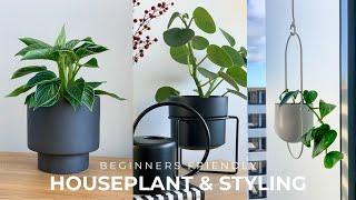 Beginners Houseplant Tour + Styling Tips (Decorate With Indoor Plants )