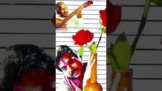 #PachamalaPoovu  #KizhakkuVaasal #ilayaraja #spb  https://youtube.com/@chandhanrangarajan
