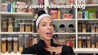 deep cleaning my DISGUSTING pantry + pumpkin painting party!