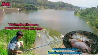 Penampakan penghuni waduk saguling dan Mancing ikan bubu payung (Alpiyan mancing)