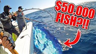 This Fish is 3X the Biggest Fish I've EVER CAUGHT!! (Bucket List Trip)