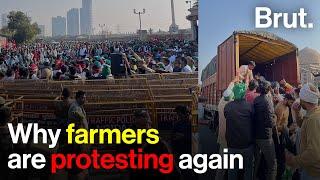 Why farmers are protesting again